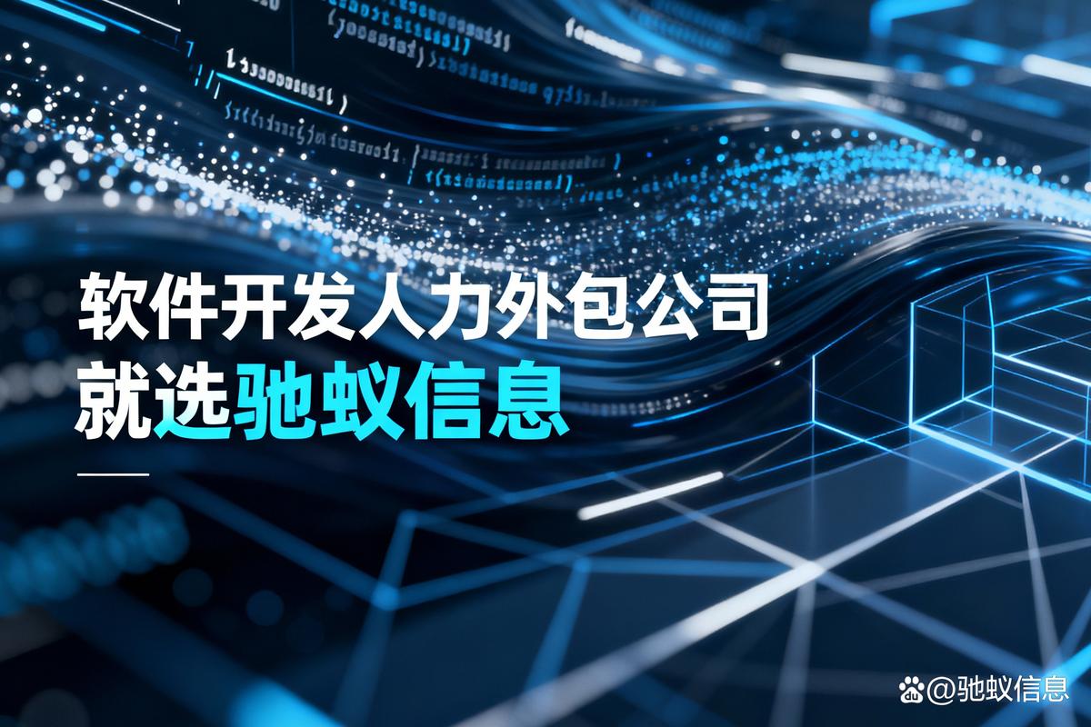 靠谱的软件开发人力外包公司推荐，为啥首选驰蚁信息？｜网站建设视角