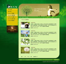 尚丞设计案例分享 美国NSN产品网站建设与互动设计